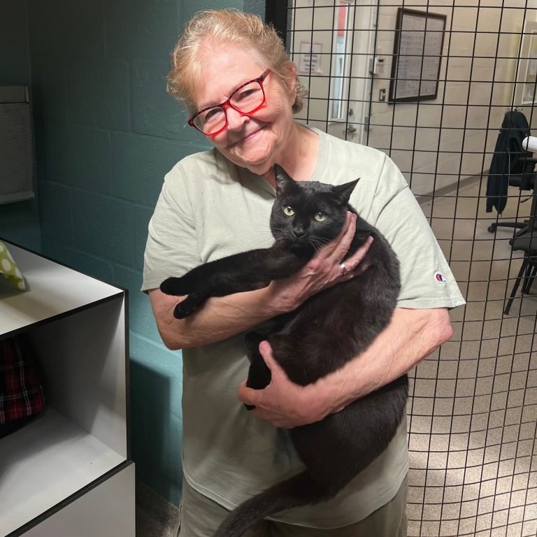 Raven- adoption